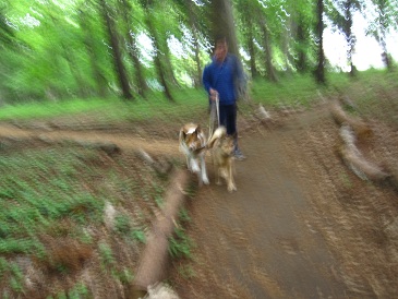 IMG_8455.JPG