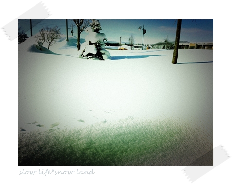 雪がとけないね