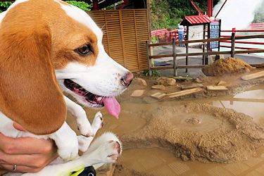 20170525四丁目地獄