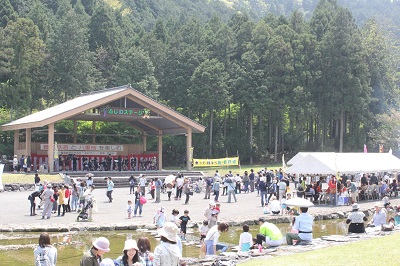 yaezakura_3.jpg