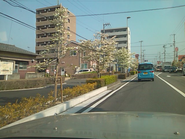 SN3F0005.JPG