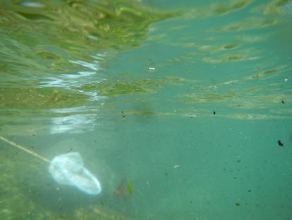 DSCN0155.jpg