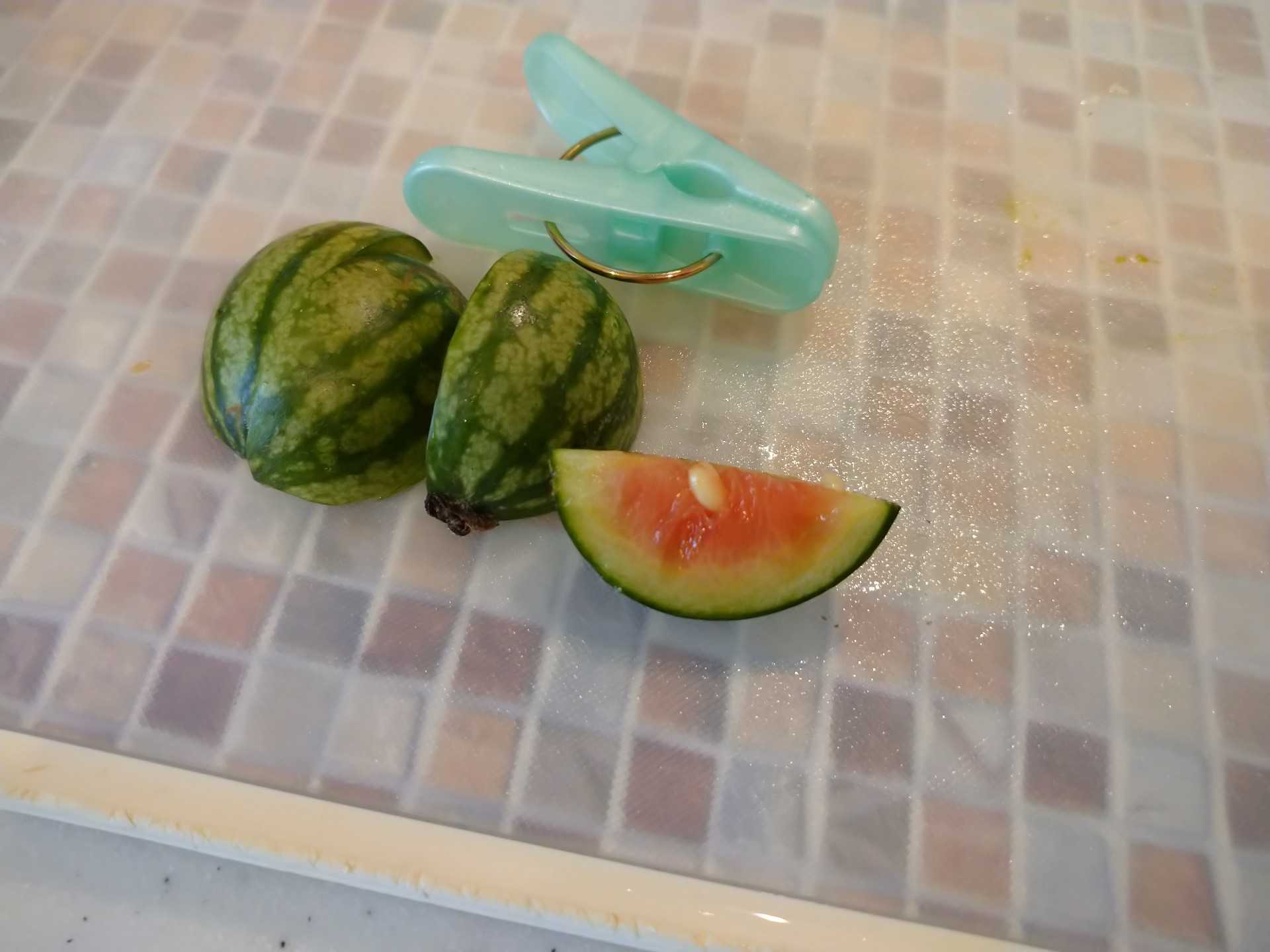 ミニチュアスイカ ものづくり大好き 編み物からコンクリートまで 楽天ブログ