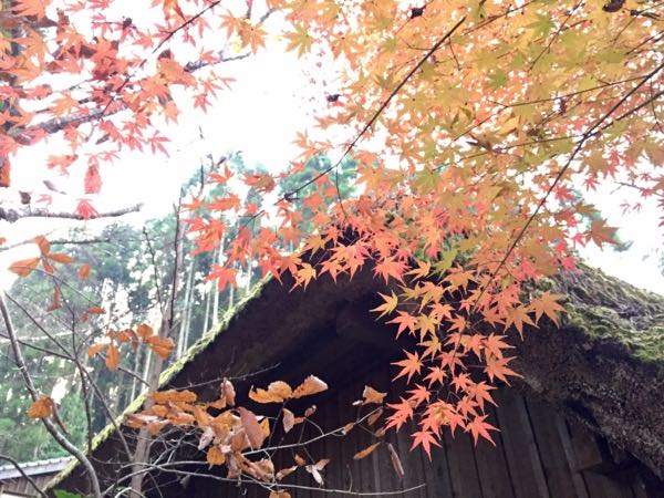 rblog-20161212192235-09.jpg
