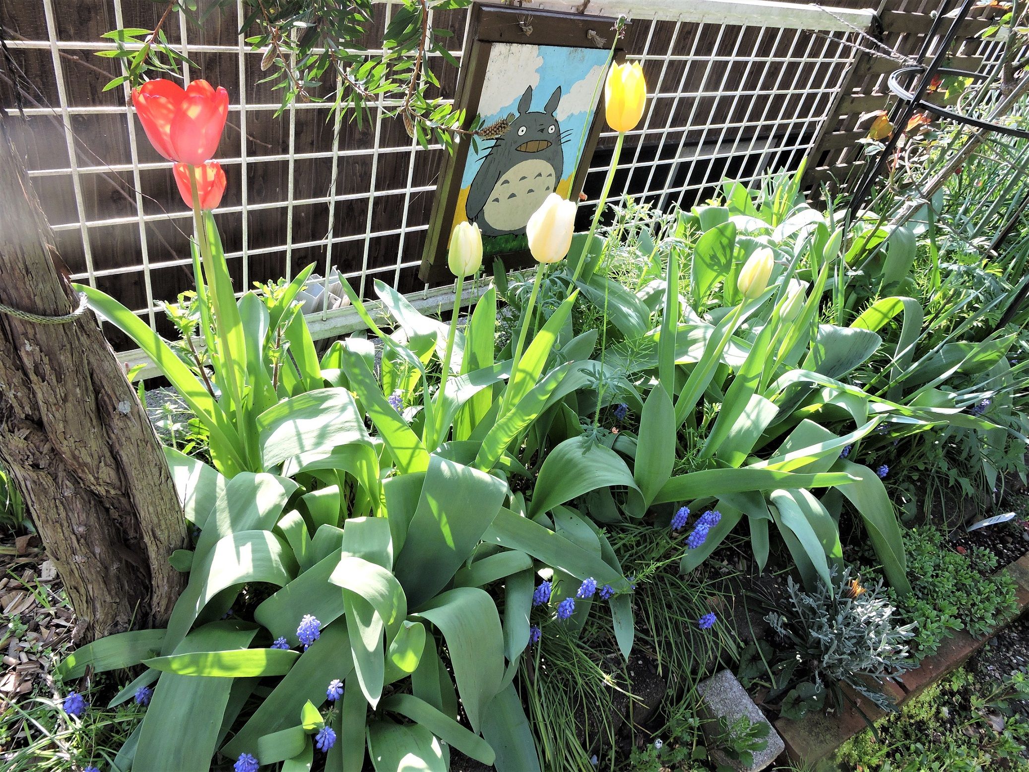 トトロ花壇 プランターカバーに色付け 術後 すぷーん ガーデン 楽天ブログ
