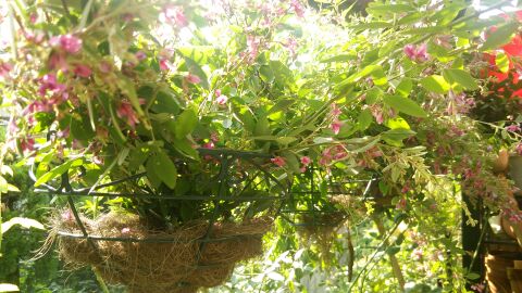 rblog-20140923152923-01.jpg