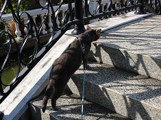 IMG_7006-14.jpg