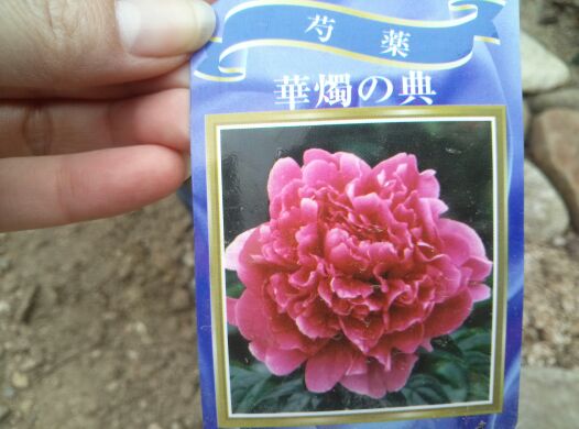 rblog-20140420215454-01.jpg