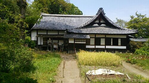 rblog-20150506190638-00.jpg