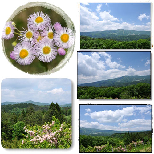 ひるがの高原