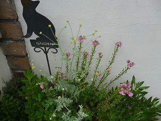 P1060668ss.jpg