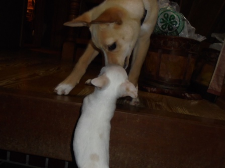 DSC01077.JPG