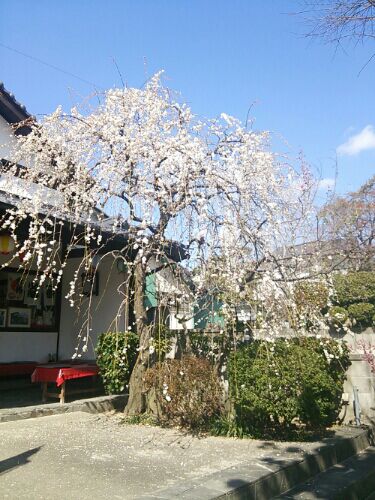 rblog-20160307102830-02.jpg