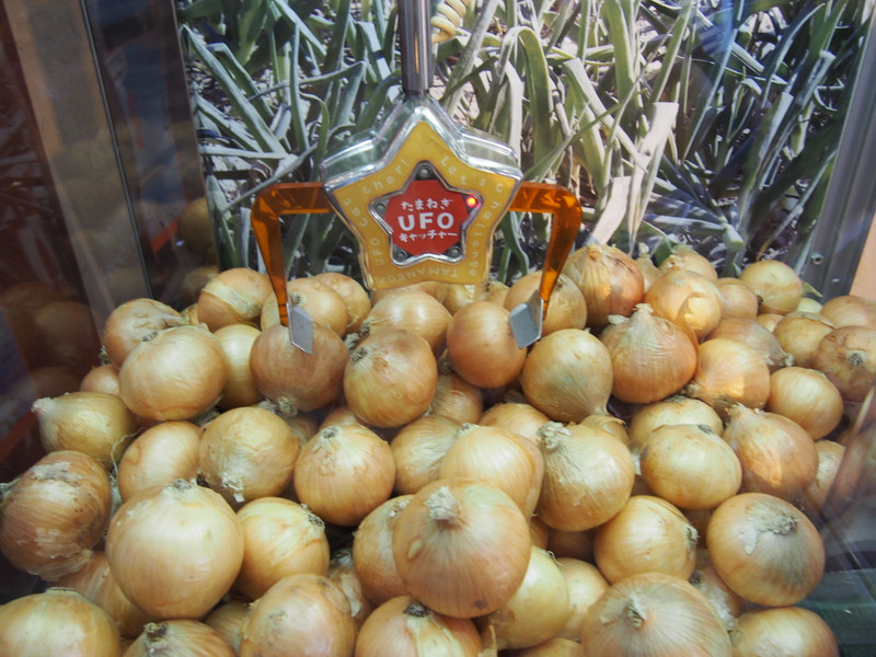たまねぎＵＦＯキャッチャー　2