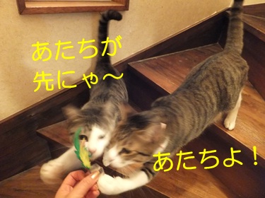 20121114_6.jpg