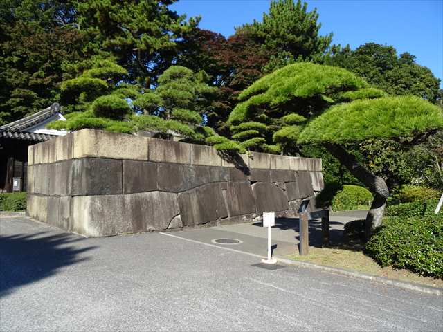 DSC07318_R.JPG