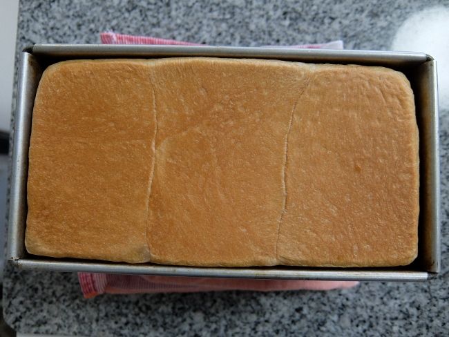 銀座に志かわ生食パン レシピ 手こね クックパッド HB