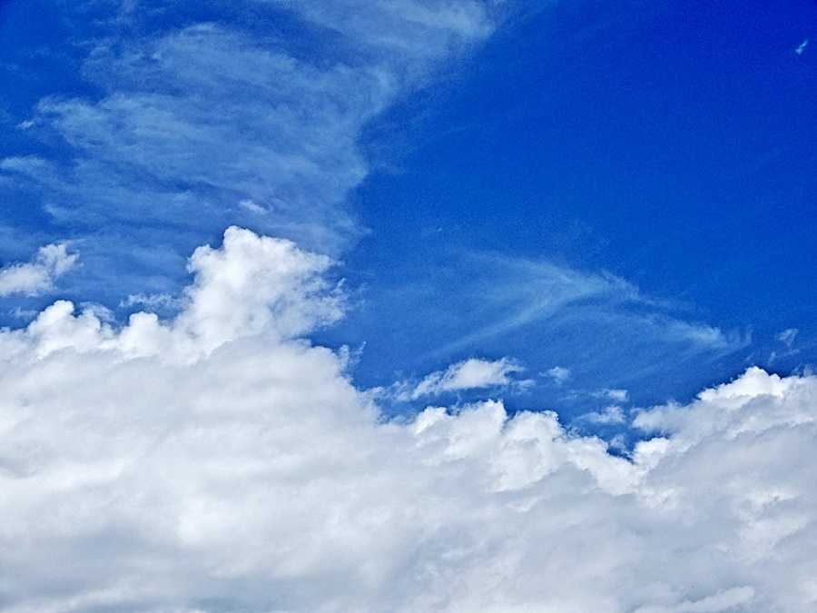 空10