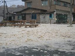 DSCN6226-w256.jpg