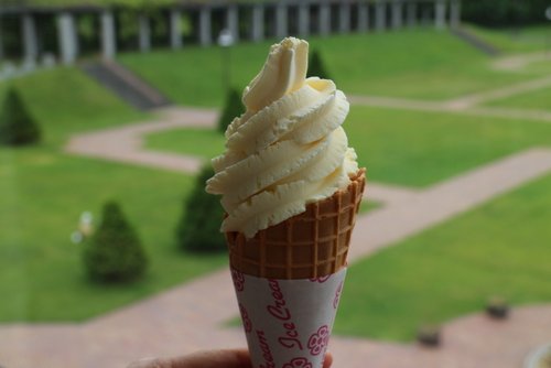 ソフトクリームを前田森林公園で