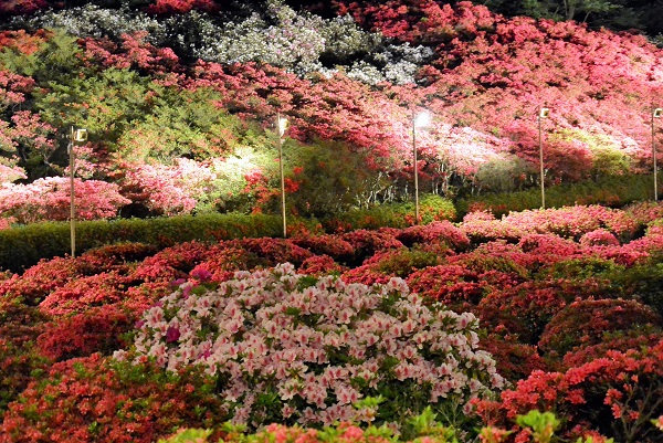 小室山公園 伊豆高原パルテール撮影