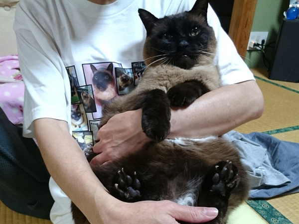 サイズもぴったり