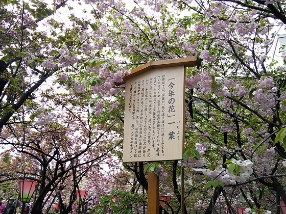 IMG_20150411_092127.jpg