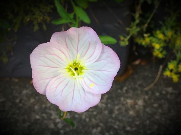 rblog-20160529204936-09.jpg