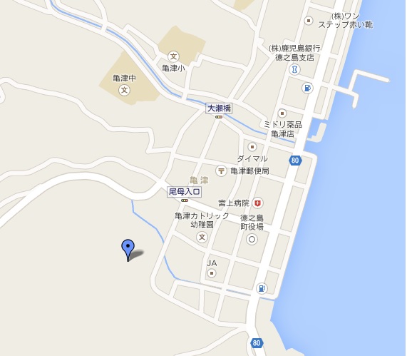 金毘羅神社