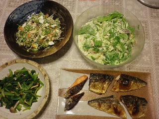オクラ　小松菜　サラダ　鯖　107.JPG