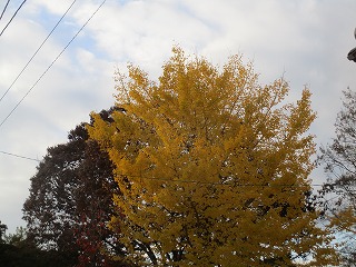 IMG_3893ss.jpg