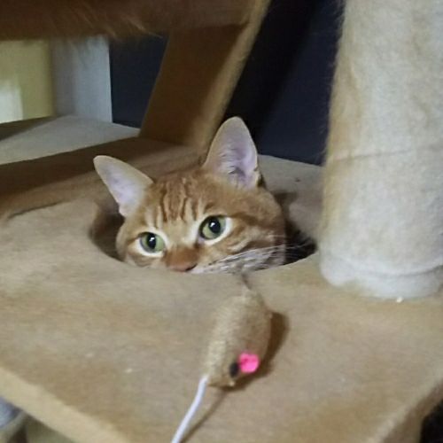 rblog-20180910222130-03.jpg