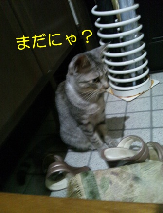 20120911_5.jpg