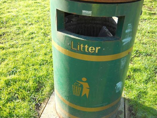 ★Litter.jpg