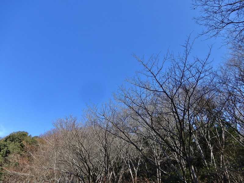 遊歩道1