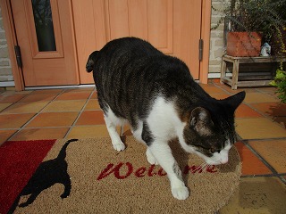 IMG_6368ss.jpg