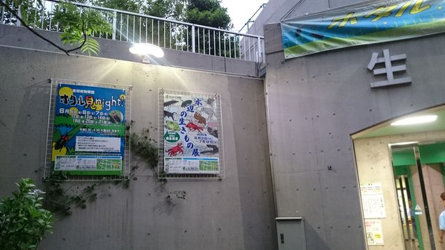 2015-06-12 18.57.16.jpg