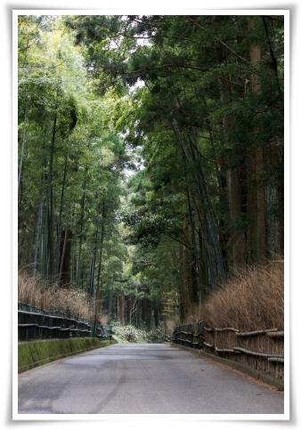 平栗-15 小柴垣-2 13.3.31