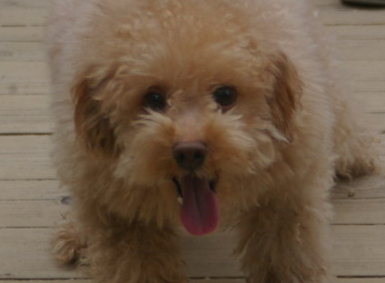 IMGP0511 1.jpg
