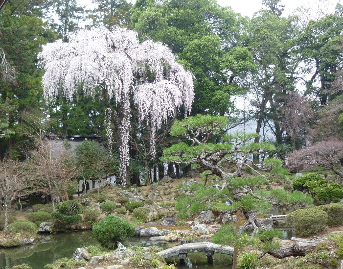 恵林寺2