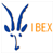ibex.gif