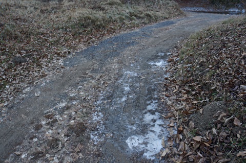 DSC01615.JPG