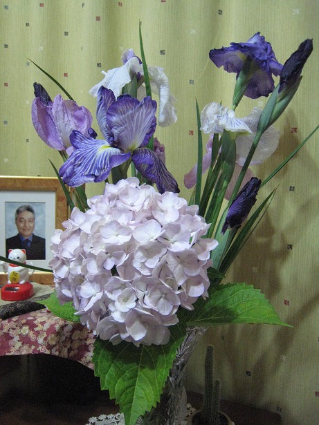 菖蒲と紫陽花