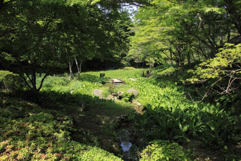六甲高山植物園_003.jpg