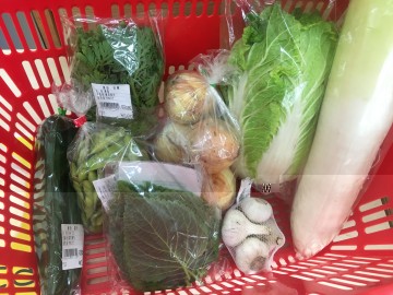 160528お野菜