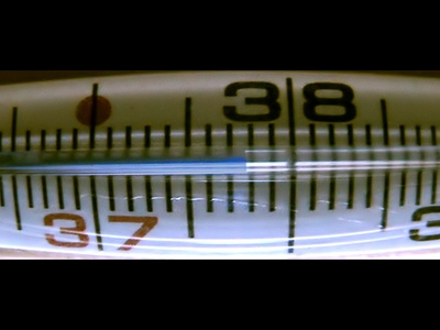 20101018133215.jpg