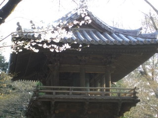 IMGP3815.JPG