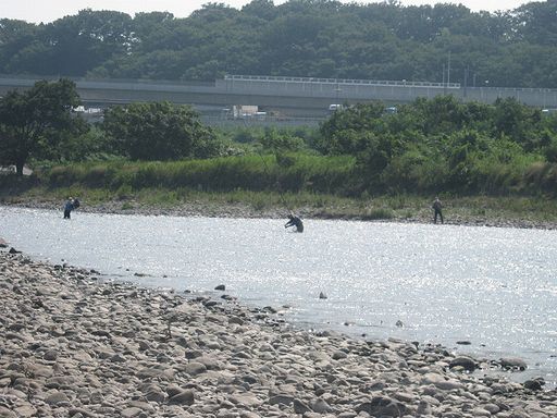IMG_1206.JPG