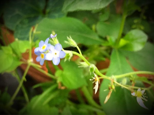 rblog-20160627210033-03.jpg