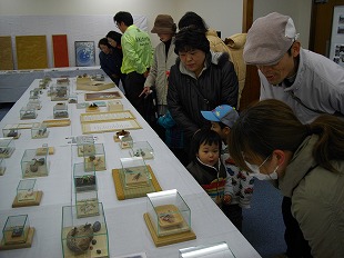 IMGP2603-310.jpg